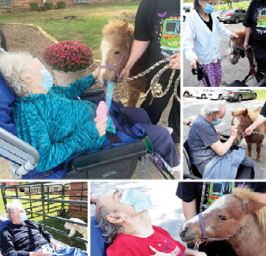 Madison Health and Rehab Residents at the Petting Zoo