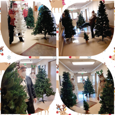 collage of staff members hiding behind fake christmas trees as residents hunt them like deer