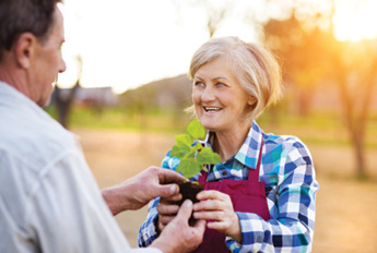 man handing senior woman a pottle plant