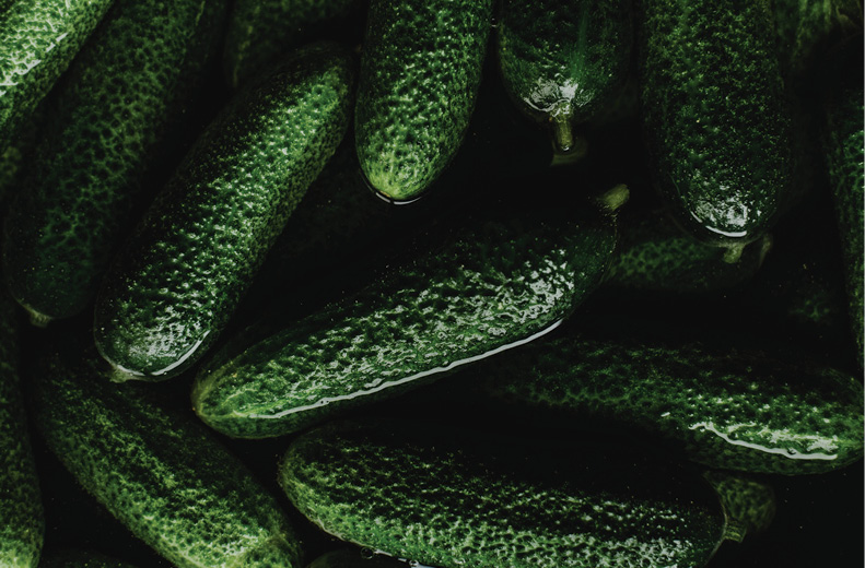 close up photo of green cucumbers in vinegar being pickled