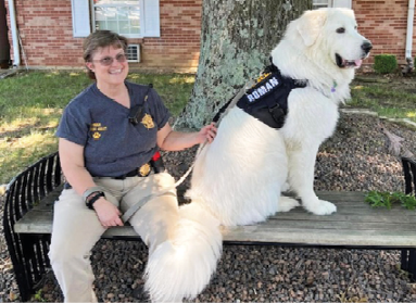 adult woman sitting on park bench next to large white fluffy therapy dog