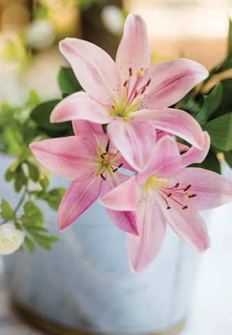 tiger lilies in a white vase with green foliage